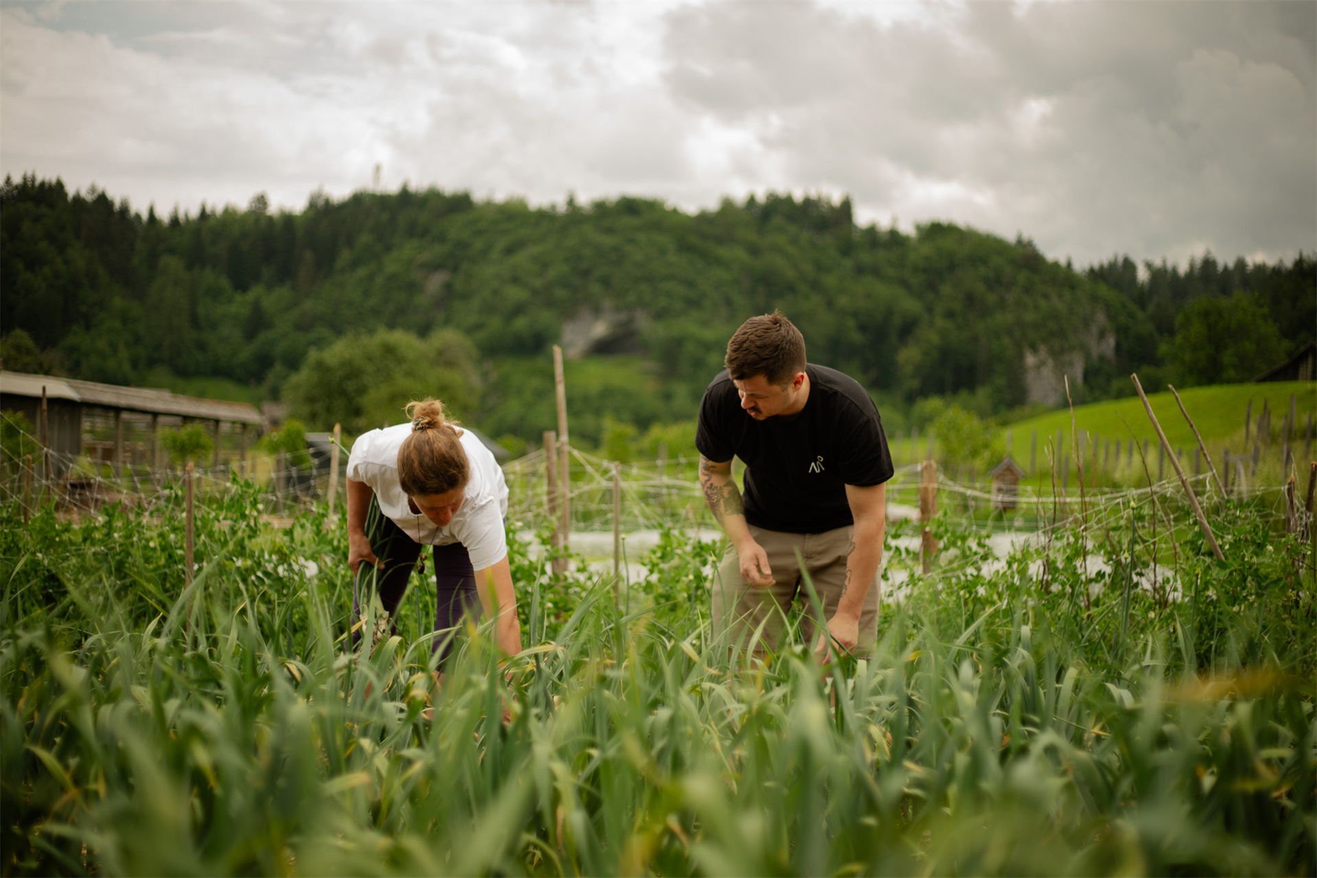 Regional and seasonal ingredients